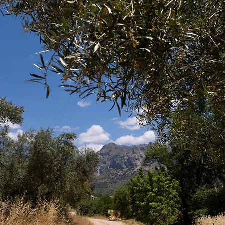 Country house Cortijo El Chaparro Rute